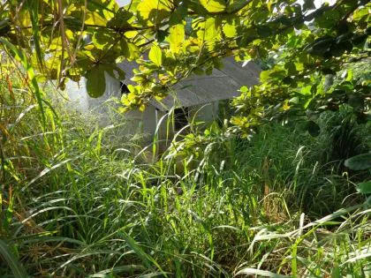 Terreno para venda em Santo Amaro